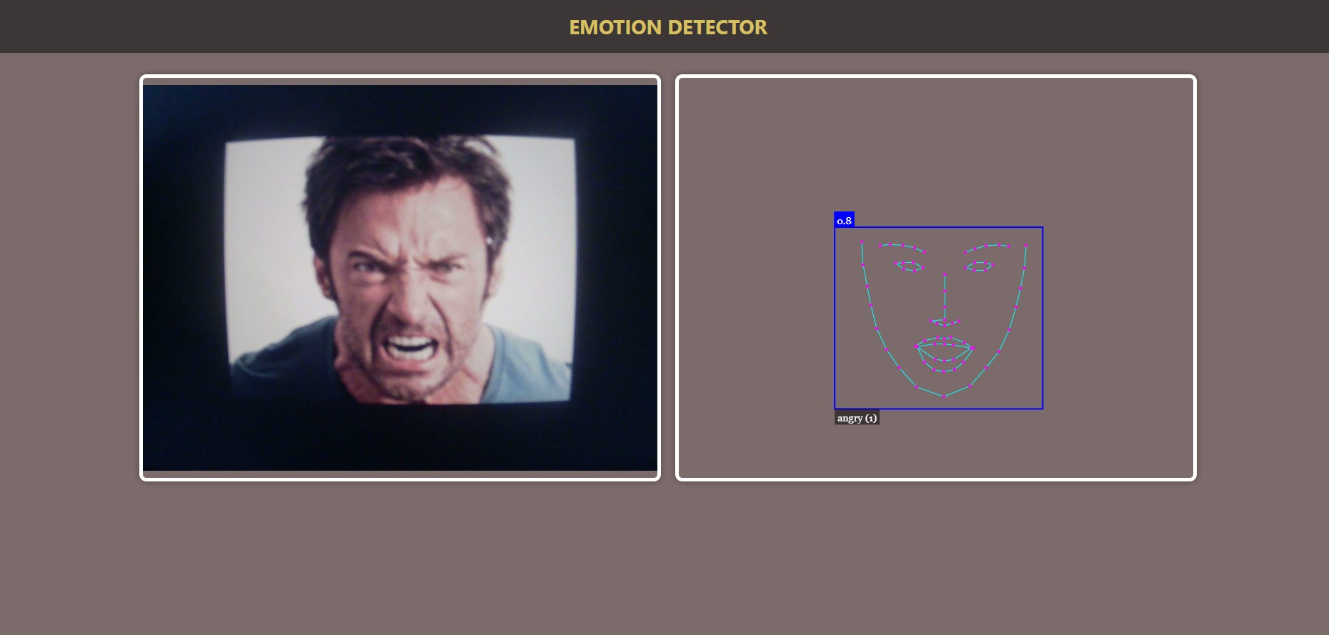 Emotion Detector